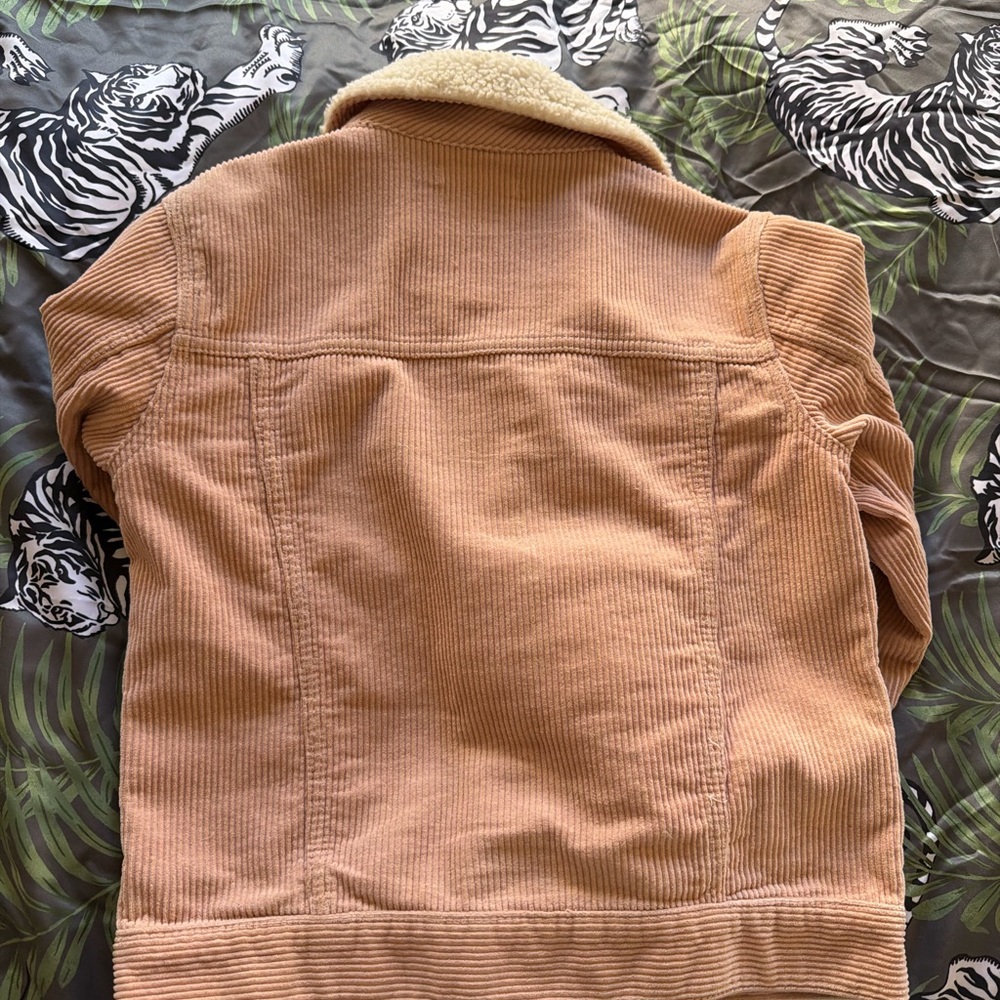 PacSun Tan Corduroy Teddy Jacket with Cream Sherpa Collar - Picture 2 of 3